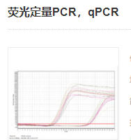 熒光定量PCR，qPCR實(shí)驗(yàn)服務(wù)